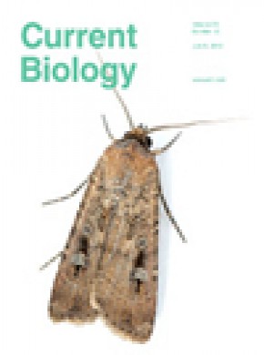 Current Biology期刊