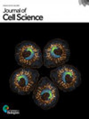 Journal Of Cell Science期刊