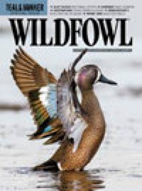 Wildfowl期刊