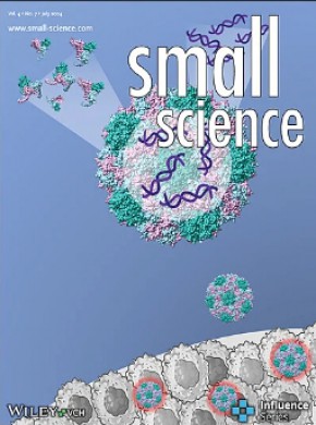 Small Science期刊
