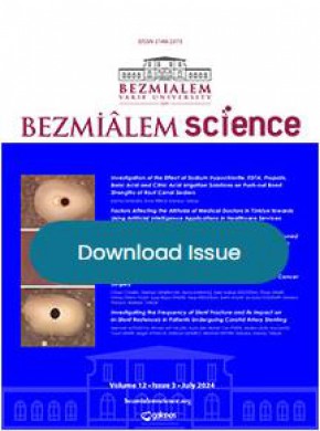 Bezmialem Science期刊