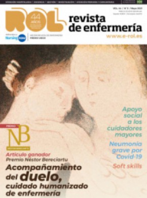Revista Rol De Enfermeria期刊