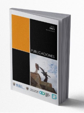 Revista Publicaciones期刊